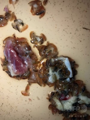 海で両足血まみれの少年、原因は肉食小型甲殻類? 父親が写真公開 海で両足血まみれの少年、原因は肉食小型甲殻類? 父親が写真公開