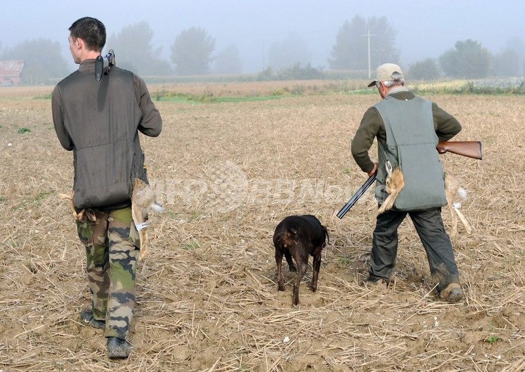 犬が飼い主を「狙撃」、生命に別状無し ニュージーランド 犬が飼い主を「狙撃」、生命に別状無し ニュージーランド