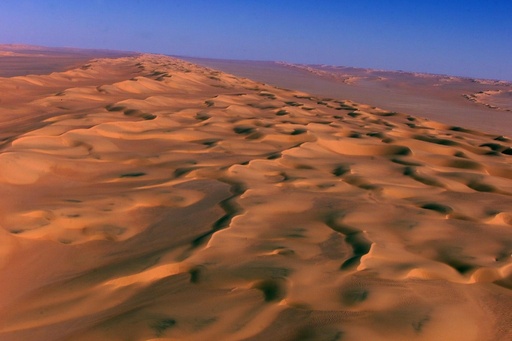 サハラ砂漠に移民300人置き去り、10人死亡
