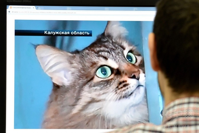 氷点下、野良猫が赤ん坊を温めて救う ロシア 氷点下、野良猫が赤ん坊を温めて救う ロシア