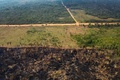 アマゾン森林火災、9月前半に記録的増加率 1日平均1400件