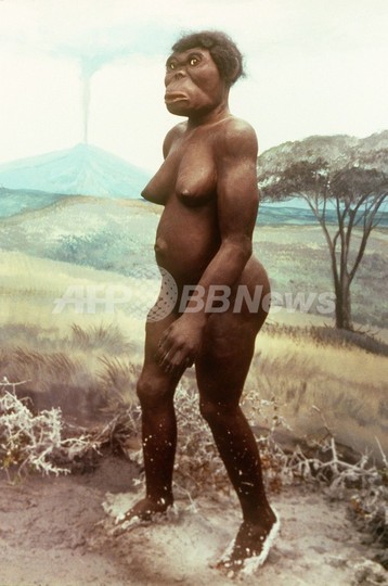 320万年前の猿人の化石に土踏まず、直立歩行の証拠 エチオピア 320万年前の猿人の化石に土踏まず、直立歩行の証拠 エチオピア