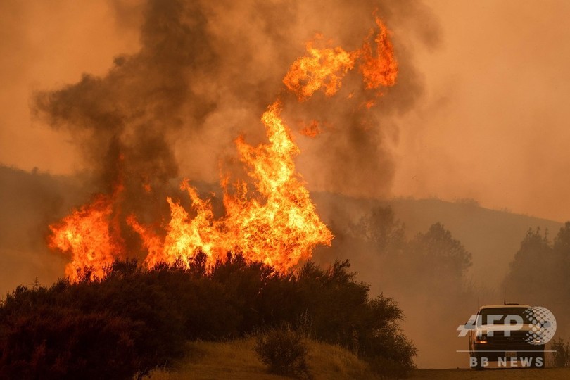 米カリフォルニア州の山火事、死者8人に 被害規模は州史上6番目 米カリフォルニア州の山火事、死者8人に 被害規模は州史上6番目