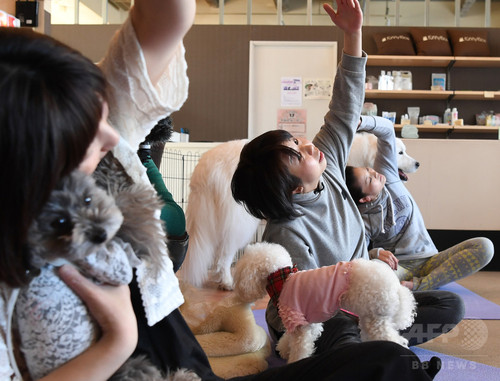 犬や猫と楽しむヨガ教室 首都圏で人気じわり 犬や猫と楽しむヨガ教室 首都圏で人気じわり
