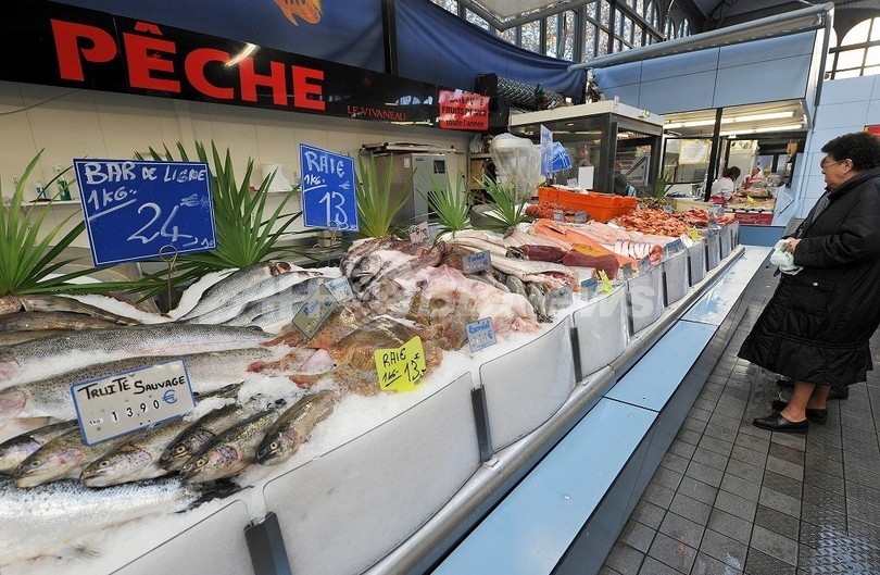魚をよく食べる女性は心臓も健康に、デンマーク研究 魚をよく食べる女性は心臓も健康に、デンマーク研究
