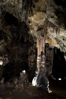 世界最古の洞窟壁画、ネアンデルタール人の複雑な感性示す