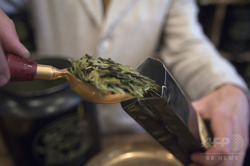緑茶の成分、ダウン症患者の認知能力向上に効果 研究 緑茶の成分、ダウン症患者の認知能力向上に効果 研究