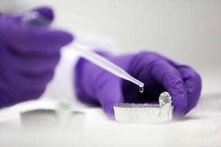 がん転移と脂肪摂取の関連性、マウス実験で確認 研究 がん転移と脂肪摂取の関連性、マウス実験で確認 研究
