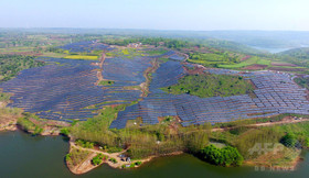 太陽光発電の「新時代」、再生可能エネルギーの成長に拍車 IEA 太陽光発電の「新時代」、再生可能エネルギーの成長に拍車 IEA