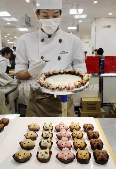 赤ワインとチョコレートにがん細胞の血管新生阻害作用、米研究 赤ワインとチョコレートにがん細胞の血管新生阻害作用、米研究