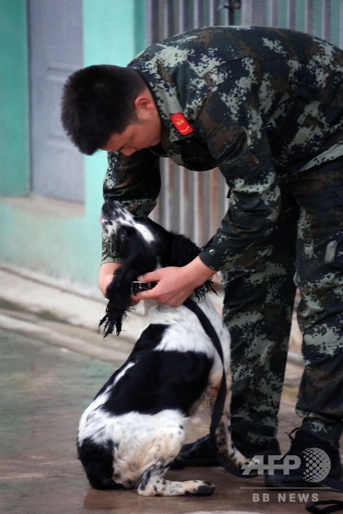 物静かだけど鼻は確か、雲南の国境守る麻薬取締犬