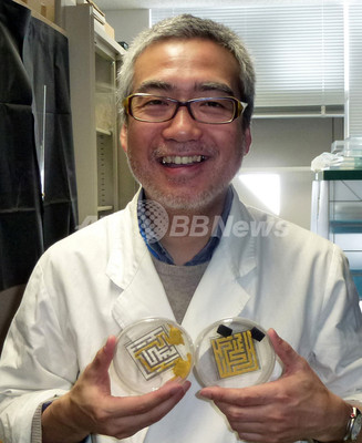 脳を持たない知能のカギ「粘菌」、活躍する日本の研究者たち 脳を持たない知能のカギ「粘菌」、活躍する日本の研究者たち