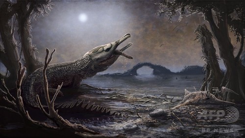 【特集】古代生物図鑑~太古に生きた奇妙な動物たち 【特集】古代生物図鑑~太古に生きた奇妙な動物たち