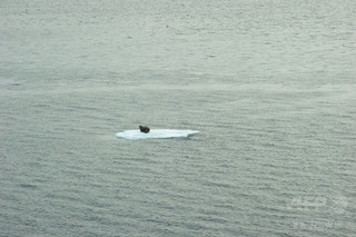 地球温暖化を2度未満に抑制しても、北極海の無氷状態は防げない 研究 地球温暖化を2度未満に抑制しても、北極海の無氷状態は防げない 研究