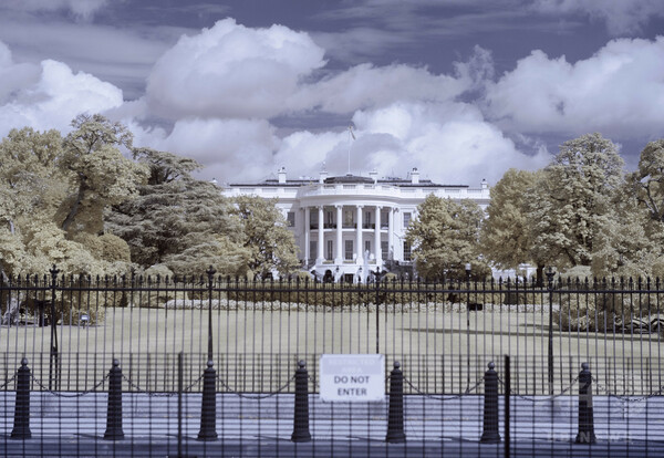 【写真特集】赤外線カメラで撮影した米首都ワシントン