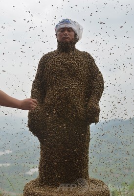 ミツバチ46万匹まとう「ハチ男」、中国 ミツバチ46万匹まとう「ハチ男」、中国