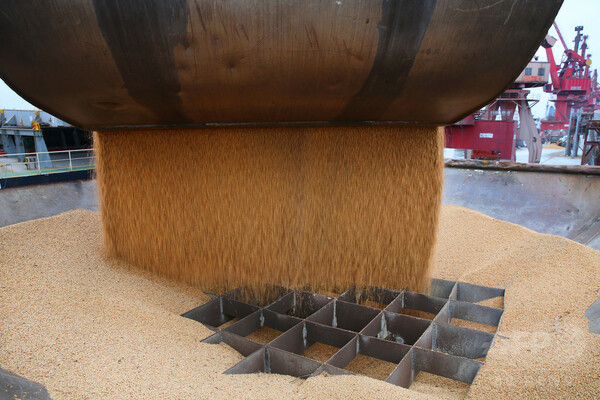 中国が対米関税 「大豆」を切り札にした理由とは