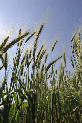 温暖化と消費社会のグローバル化、世界の脅威に 国連報告