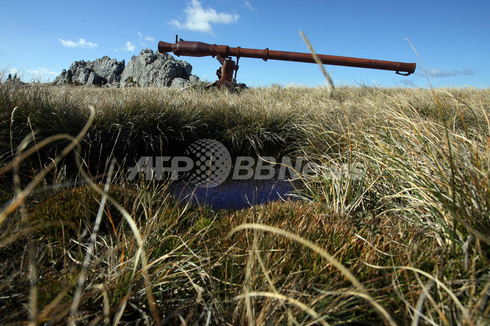 フォークランド紛争から25年 英領フォークランド 写真12枚 国際ニュース：AFPBB News