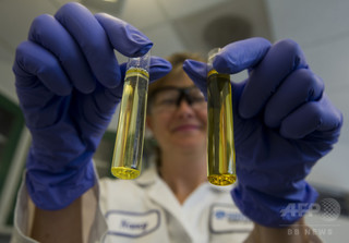 魚油サプリ、認知機能低下抑制に効果なし 米研究 魚油サプリ、認知機能低下抑制に効果なし 米研究