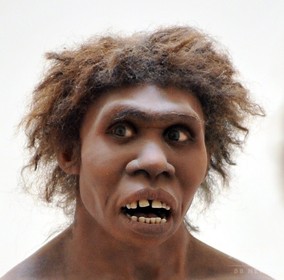 古代人の食人、単なる「食事」ではない 研究 古代人の食人、単なる「食事」ではない 研究