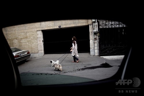 犬を飼ったらむち打ち74回の刑、イラン議会に法案提出 犬を飼ったらむち打ち74回の刑、イラン議会に法案提出