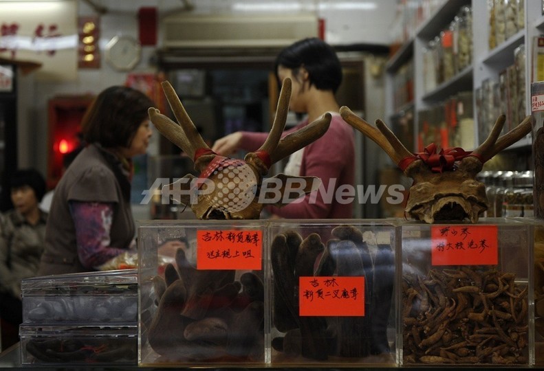 中国伝統薬から高濃度のヒ素検出、スウェーデン食糧庁 中国伝統薬から高濃度のヒ素検出、スウェーデン食糧庁