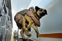 ソチ五輪で救助された野良犬10匹、米首都に到着