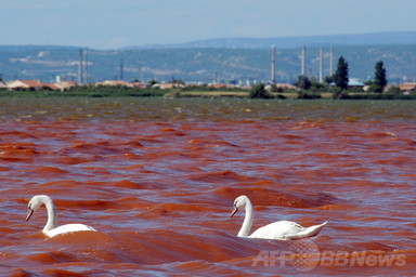 【特集】世界各地の水質汚染 写真29枚 国際ニュース:AFPBB News