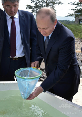 バイカル湖は「極めて高い汚染状態」 プーチン大統領が警鐘 バイカル湖は「極めて高い汚染状態」 プーチン大統領が警鐘