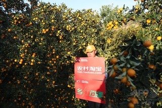 世銀「アリババが中小企業の発展をけん引、大量の雇用を創出」 世銀「アリババが中小企業の発展をけん引、大量の雇用を創出」