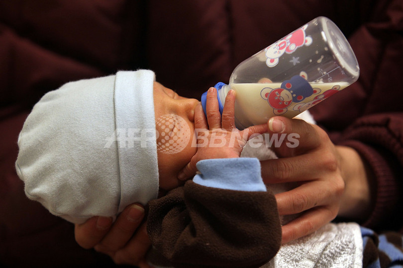 牛乳のアレルゲン大幅減に遺伝子操作で成功、NZ 牛乳のアレルゲン大幅減に遺伝子操作で成功、NZ