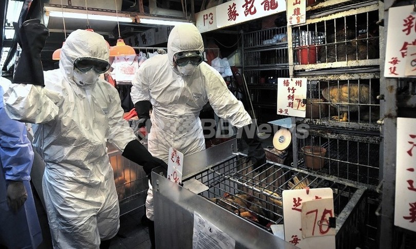 強毒性鳥インフルの感染研究、世界の研究者が再開を宣言 強毒性鳥インフルの感染研究、世界の研究者が再開を宣言