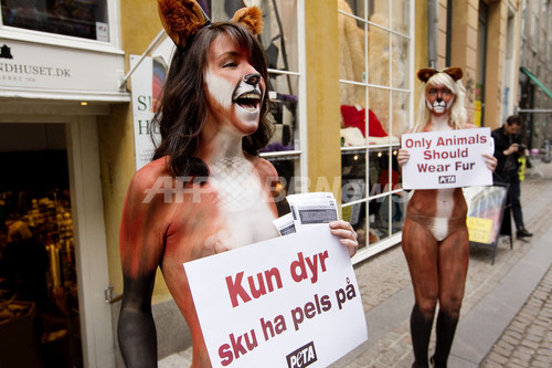 キツネに扮したセミヌード、「毛皮を着ていいのは動物だけ」 PETA キツネに扮したセミヌード、「毛皮を着ていいのは動物だけ」 PETA