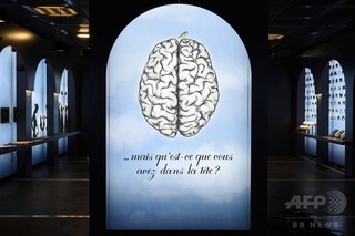 成人期の読字学習で脳が変容、研究 成人期の読字学習で脳が変容、研究