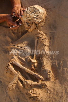 サハラ砂漠から石器時代最大級の埋葬地、米研究チーム サハラ砂漠から石器時代最大級の埋葬地、米研究チーム