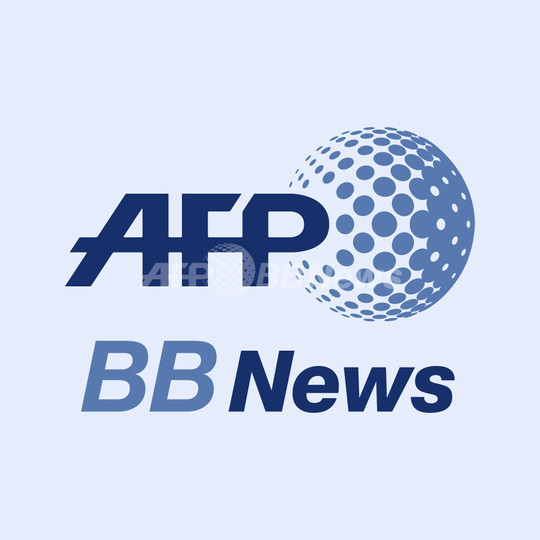 米ケープコッドにイルカ85頭打ち上げられる 米ケープコッドにイルカ85頭打ち上げられる