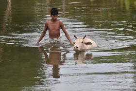 インド西部、豪雨による洪水で4人死亡 インド西部、豪雨による洪水で4人死亡