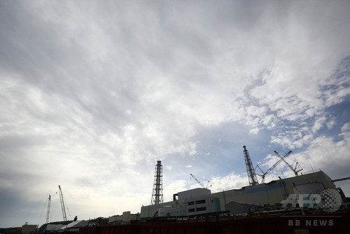 福島第1原発周辺の森林、突然変異やDNA損傷 グリーンピース報告 福島第1原発周辺の森林、突然変異やDNA損傷 グリーンピース報告