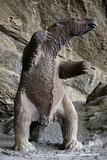 絶滅種ミロドンの標本、大英博物館に返還要求へ チリ 絶滅種ミロドンの標本、大英博物館に返還要求へ チリ