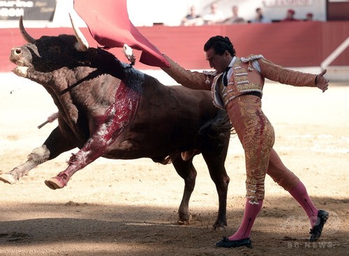 スペインの人気闘牛士、牛に角で刺されて死亡 フランス スペインの人気闘牛士、牛に角で刺されて死亡 フランス