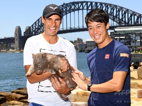 錦織とナダル、ウォンバットとたわむれる 錦織とナダル、ウォンバットとたわむれる