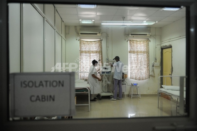 豚インフルによる死者25万人以上か、従来報告の15倍 豚インフルによる死者25万人以上か、従来報告の15倍