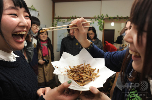 動画:コオロギやゴキブリが食材に、昆虫食伝道師の鍋パーティー 動画:コオロギやゴキブリが食材に、昆虫食伝道師の鍋パーティー