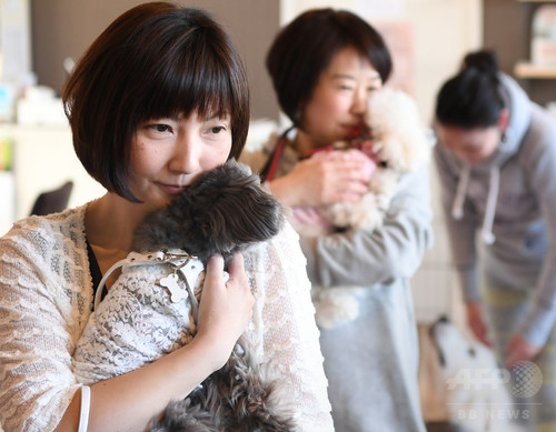 犬や猫と楽しむヨガ教室 首都圏で人気じわり 犬や猫と楽しむヨガ教室 首都圏で人気じわり