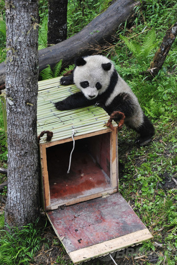 希少野生動物を食べたら実刑、中国で刑法新解釈 希少野生動物を食べたら実刑、中国で刑法新解釈