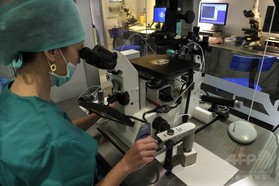 卵子を経ずに子孫誕生、マウス実験で初めて成功 研究 卵子を経ずに子孫誕生、マウス実験で初めて成功 研究