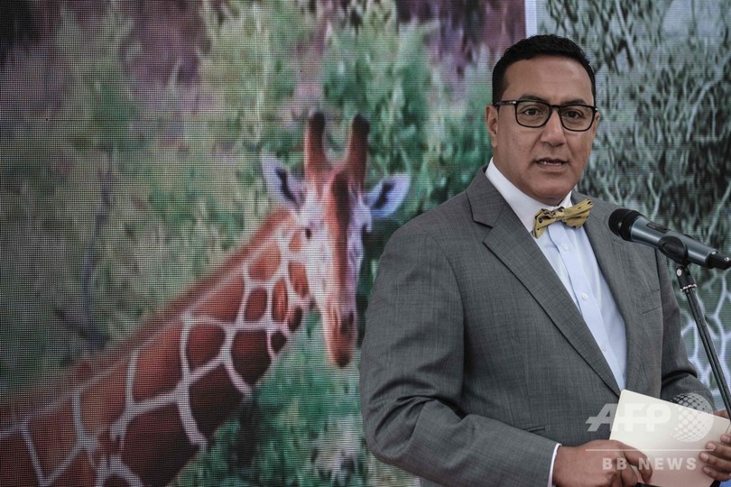 絶滅危惧種キリン、ケニアで初の個体数回復計画が発足 絶滅危惧種キリン、ケニアで初の個体数回復計画が発足