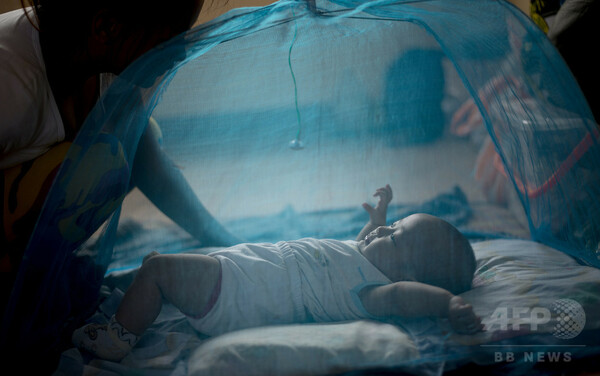 マラリア死者、2000年比60％減 蚊帳の配布が奏功 国連