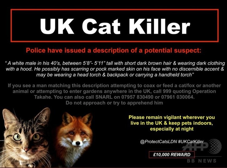 ロンドンの「猫切り裂き魔」 2年で400匹が犠牲に いまだ逮捕できず ロンドンの「猫切り裂き魔」 2年で400匹が犠牲に いまだ逮捕できず